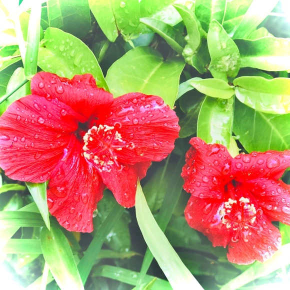 π½πβπΈπΎπβπΎ β π
ππππππ | SUSTAINABILITY | LUXURY | CREATIVITY - Picture 15 of 16